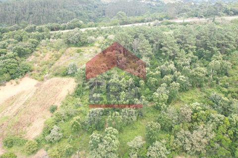 Helårsgrund i Obidos, Leiria, Obidos - € 30.000 | Ref: 150240205 - foto 7