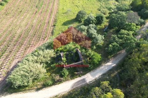Villa i Vidais, Leiria, Vidais - € 45.000 | Ref: 150240159 - foto 2