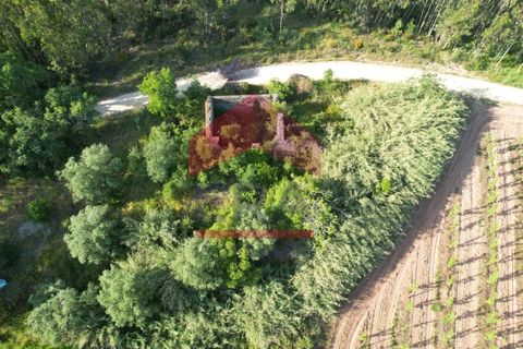 Villa i Vidais, Leiria, Vidais - € 45.000 | Ref: 150240159 - foto 3