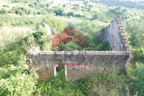 Villa i Vidais, Leiria, Vidais - € 45.000 | Ref: 150240159 - foto 5