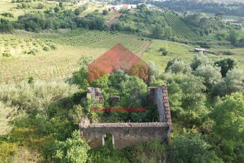 Villa i Vidais, Leiria, Vidais - € 45.000 | Ref: 150240159 - foto 6
