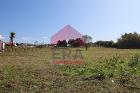 Terra a Gaeiras, Leiria, Gaeiras - € 285.000 | Ref: 150230207 - foto 5