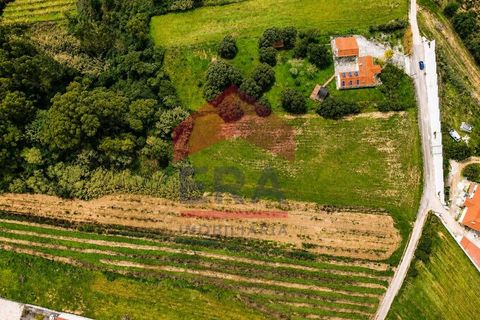 Helårsgrund i Obidos, Leiria, Obidos - € 49.900 | Ref: 150230014 - foto 2