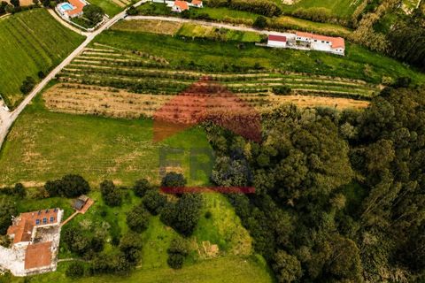 Helårsgrund i Obidos, Leiria, Obidos - € 49.900 | Ref: 150230014 - foto 3