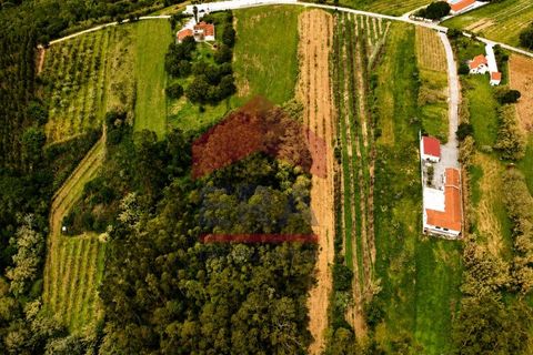 Helårsgrund i Obidos, Leiria, Obidos - € 49.900 | Ref: 150230014 - foto 4