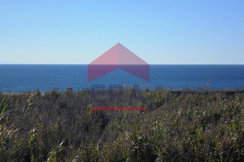 Terra a Peniche, Leiria, Peniche - € 690.000 | Ref: 150220132 - foto 2