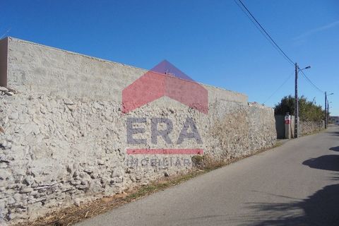 Terra a Peniche, Leiria, Peniche - € 690.000 | Ref: 150220132 - foto 6