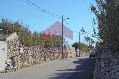 Terra a Peniche, Leiria, Peniche - € 690.000 | Ref: 150220132 - foto 8