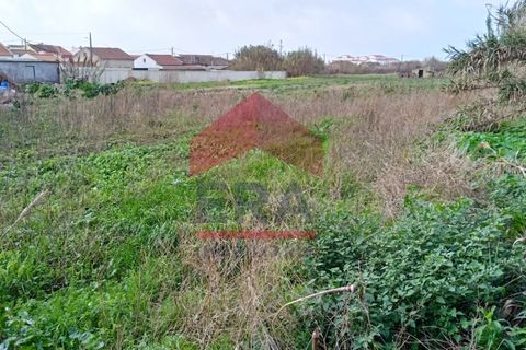 Helårsgrund i Ferrel, Leiria, Ferrel - € 1.800.000 | Ref: 150220001 - foto 13