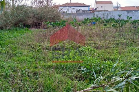 Helårsgrund i Ferrel, Leiria, Ferrel - € 1.800.000 | Ref: 150220001 - foto 14