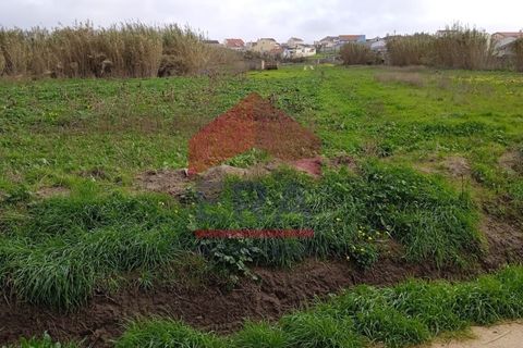 Helårsgrund i Ferrel, Leiria, Ferrel - € 1.800.000 | Ref: 150220001 - foto 16