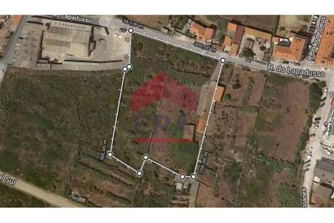 Helårsgrund i Peniche, Leiria, Peniche - € 600.000 | Ref: 150190398 - foto 2