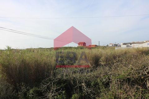 Helårsgrund i Peniche, Leiria, Peniche - € 600.000 | Ref: 150190398 - foto 29