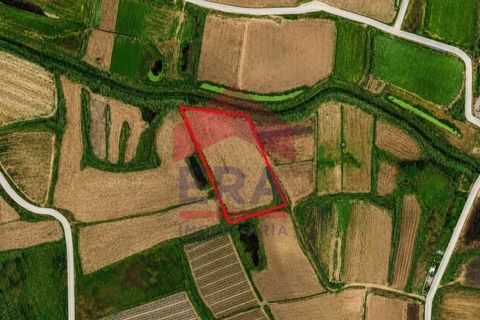 Helårsgrund i Ferrel, Leiria, Ferrel - € 70.000 | Ref: 150230041 - foto 4