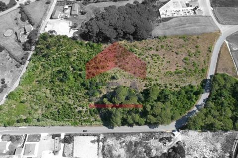 Helårsgrund i Obidos, Leiria, Obidos - € 350.000 | Ref: 150240125 - foto 2