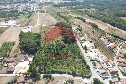 Helårsgrund i Obidos, Leiria, Obidos - € 350.000 | Ref: 150240125 - foto 6