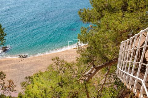 Villa a Lloret De Mar, Gerona, Lloret De Mar - € 3.500.000 | Ref: CBR12671 - foto 18