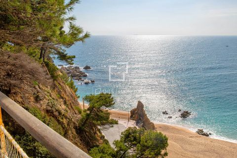 Villa a Lloret De Mar, Gerona, Lloret De Mar - € 3.500.000 | Ref: CBR12671 - foto 27
