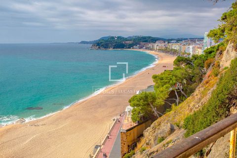 Villa a Lloret De Mar, Gerona, Lloret De Mar - € 3.500.000 | Ref: CBR12671 - foto 28