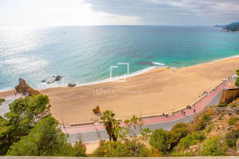 Villa a Lloret De Mar, Gerona, Lloret De Mar - € 3.500.000 | Ref: CBR12671 - foto 29