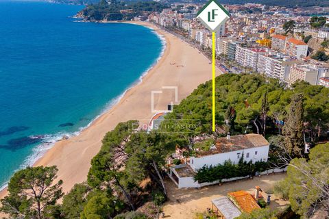 Villa a Lloret De Mar, Gerona, Lloret De Mar - € 3.500.000 | Ref: CBR12671 - foto 34