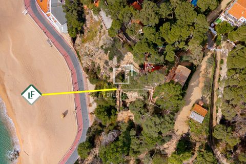 Villa a Lloret De Mar, Gerona, Lloret De Mar - € 3.500.000 | Ref: CBR12671 - foto 35