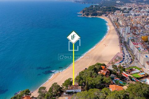 Villa a Lloret De Mar, Gerona, Lloret De Mar - € 3.500.000 | Ref: CBR12671 - foto 36