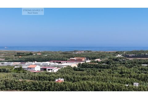 Helårsgrund i Ferrel, Leiria, Ferrel - € 1.700.000 | Ref: TER_1439 - foto 4