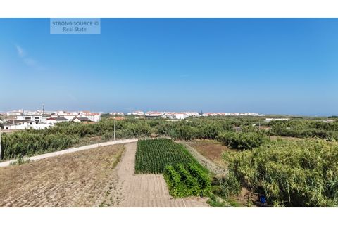 Helårsgrund i Ferrel, Leiria, Ferrel - € 1.700.000 | Ref: TER_1439 - foto 11