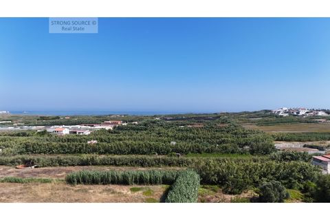 Helårsgrund i Ferrel, Leiria, Ferrel - € 1.700.000 | Ref: TER_1439 - foto 14