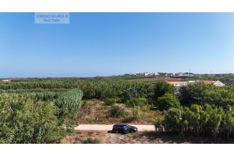 Helårsgrund i Ferrel, Leiria, Ferrel - € 1.700.000 | Ref: TER_1439 - foto 15