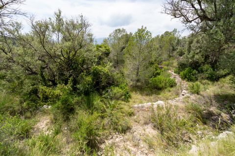 Finca i Tortosa, Tarragona, Tortosa - € 9.000 | Ref: 224 - foto 11