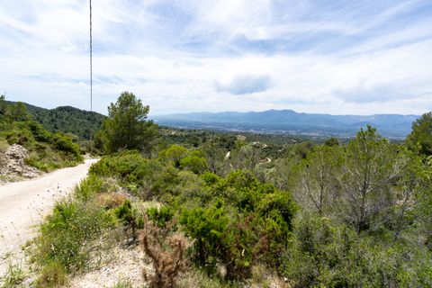 Finca i Tortosa, Tarragona, Tortosa - € 9.000 | Ref: 224 - foto 6