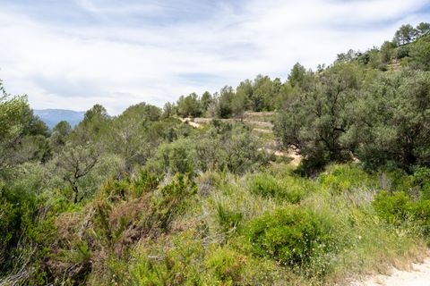 Finca i Tortosa, Tarragona, Tortosa - € 9.000 | Ref: 224 - foto 10