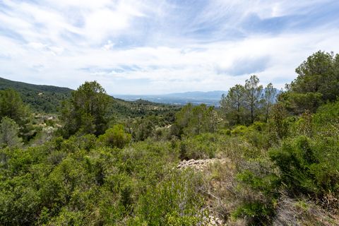 Finca i Tortosa, Tarragona, Tortosa - € 9.000 | Ref: 224 - foto 2