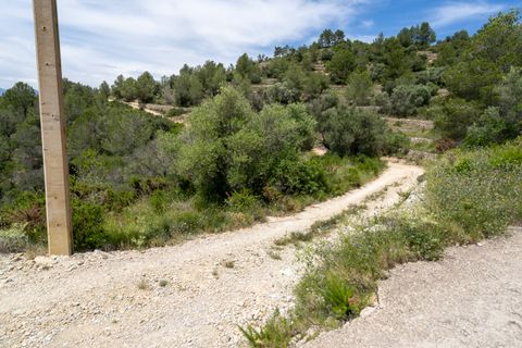 Finca i Tortosa, Tarragona, Tortosa - € 9.000 | Ref: 224 - foto 9