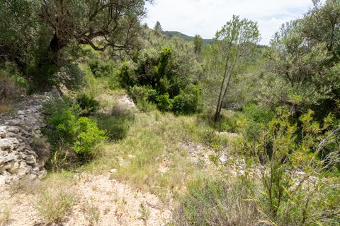 Finca i Tortosa, Tarragona, Tortosa - € 9.000 | Ref: 224 - foto 4