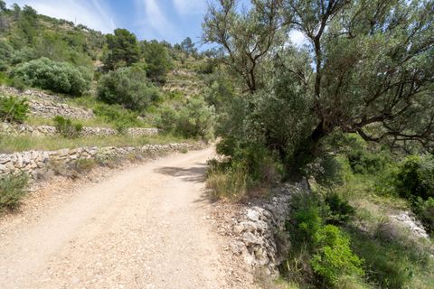 Finca i Tortosa, Tarragona, Tortosa - € 9.000 | Ref: 224 - foto 12
