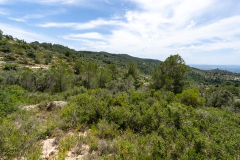 Finca i Tortosa, Tarragona, Tortosa - € 9.000 | Ref: 224 - foto 3