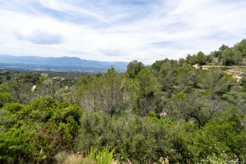 Finca i Tortosa, Tarragona, Tortosa - € 9.000 | Ref: 224 - foto 8