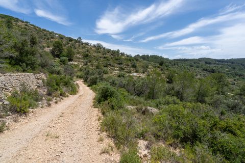 Finca i Tortosa, Tarragona, Tortosa - € 9.000 | Ref: 224 - foto 14