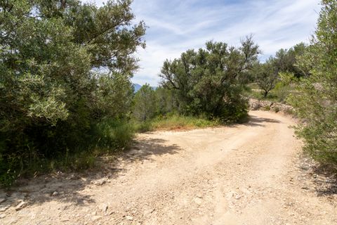 Finca i Tortosa, Tarragona, Tortosa - € 9.000 | Ref: 224 - foto 13