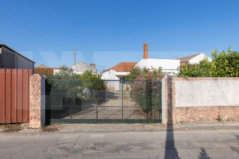 Villa i Palmela, Setubal, Palmela - € 690.000 | Ref: 313.013.005 - foto 5