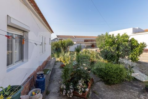 Villa i Palmela, Setubal, Palmela - € 690.000 | Ref: 313.013.005 - foto 24