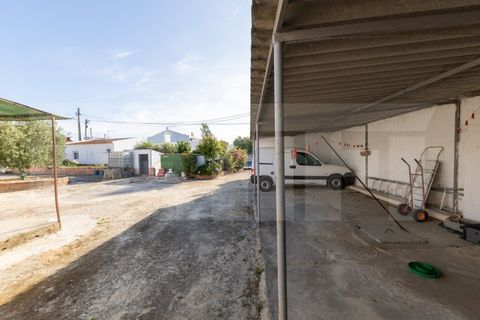 Villa i Palmela, Setubal, Palmela - € 690.000 | Ref: 313.013.005 - foto 26