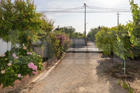 Villa i Palmela, Setubal, Palmela - € 690.000 | Ref: 313.013.005 - foto 28