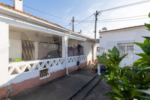 Villa i Palmela, Setubal, Palmela - € 690.000 | Ref: 313.013.005 - foto 31