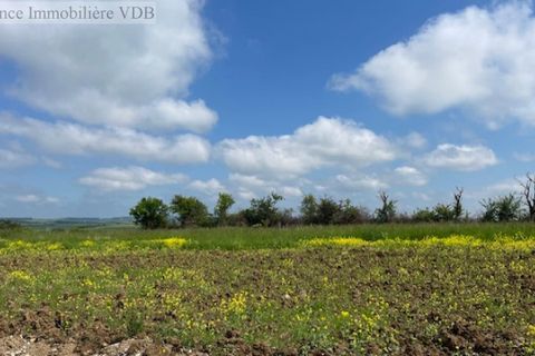 Terra a Haraucourt, Meurthe-et-Moselle, Haraucourt - € 75.000 | Ref: V689 - foto 4