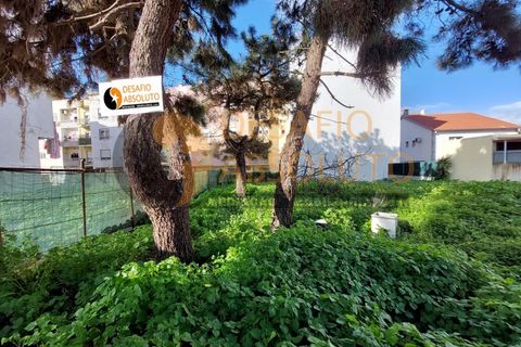 Helårsgrund i Quinta do Conde, Setubal, Quinta do Conde - € 140.000 | Ref: 2957 - foto 2
