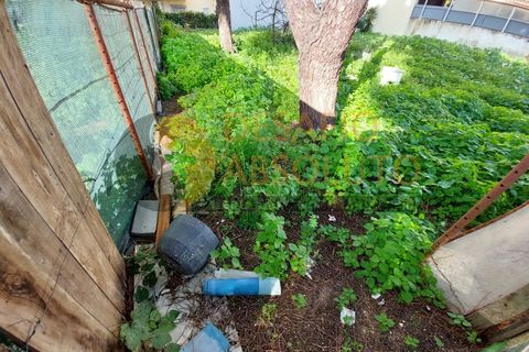 Helårsgrund i Quinta do Conde, Setubal, Quinta do Conde - € 140.000 | Ref: 2957 - foto 5